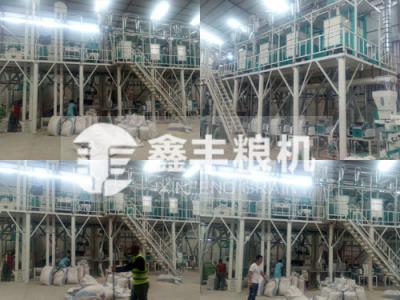 非洲剛果50噸玉米加工設備安裝案例